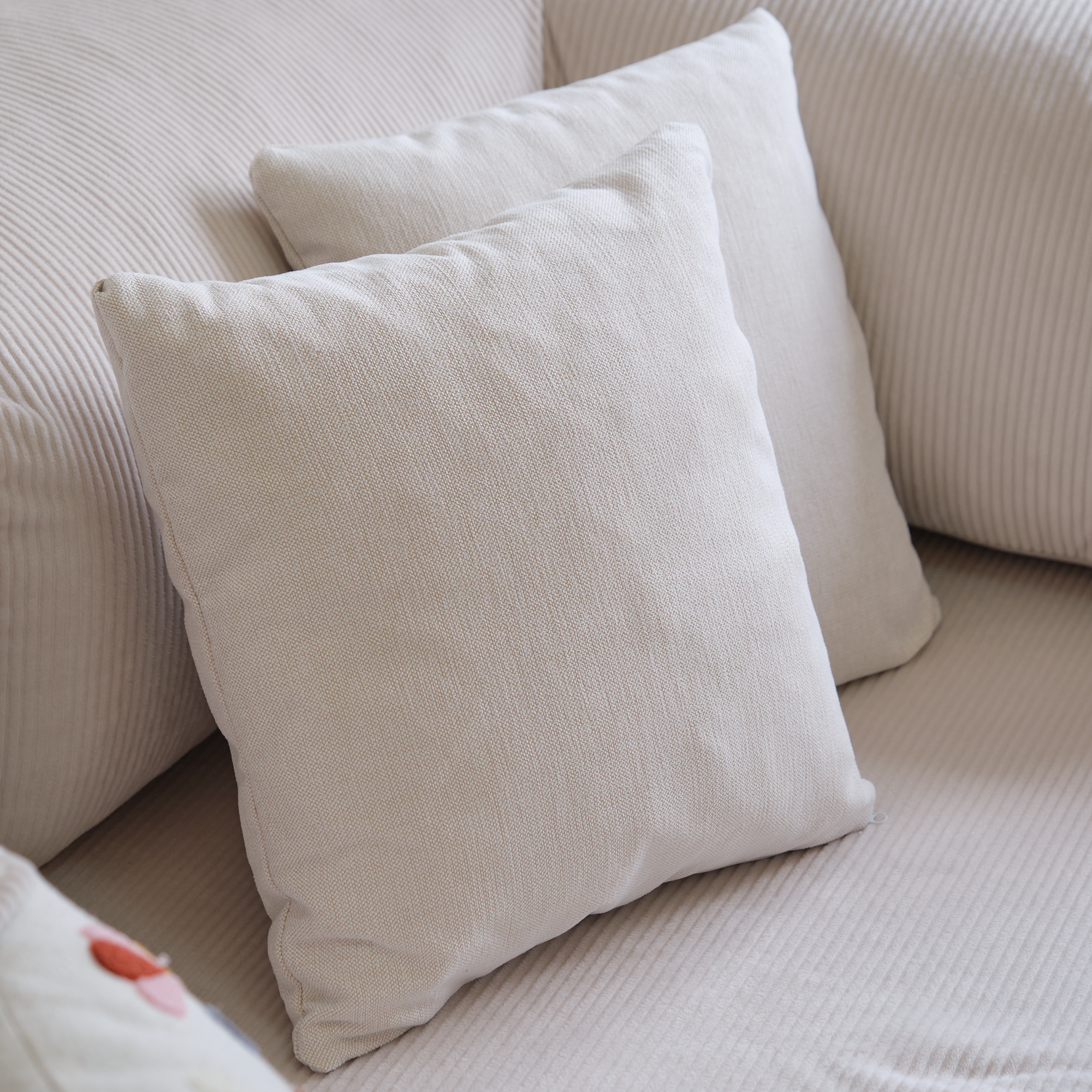 RS Decorative Cushion Set | 2-Pack Throw Pillows RS/1