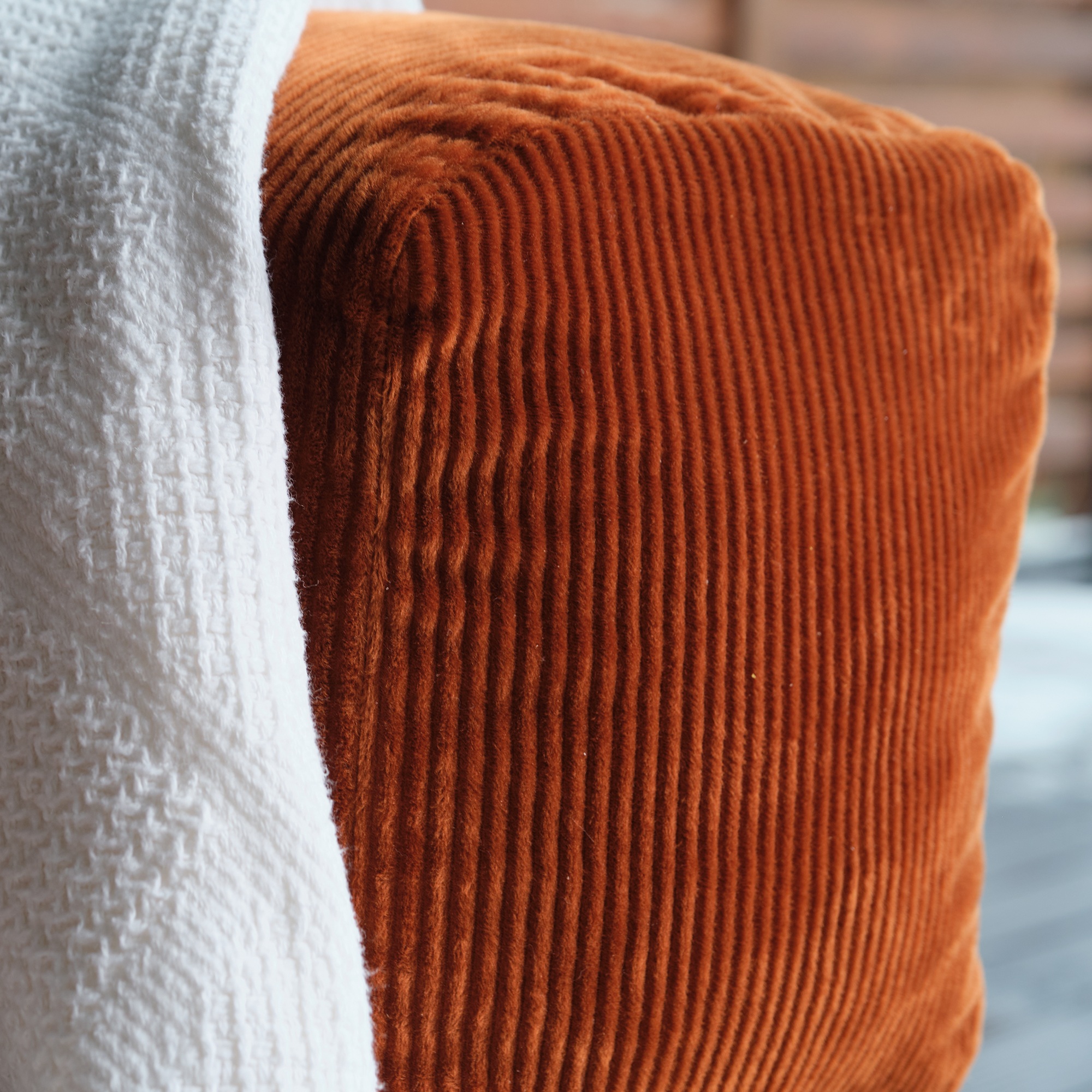 A Soft Teddy Sofa Bed That Blends Modern Comfort With Cozy Design, Perfect For Relaxing Or Hosting Overnight Guests